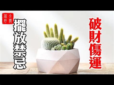 防小人 仙人掌|「擺仙人掌」小心成雙面刃！化解6個NG居家風水 小人通通退散